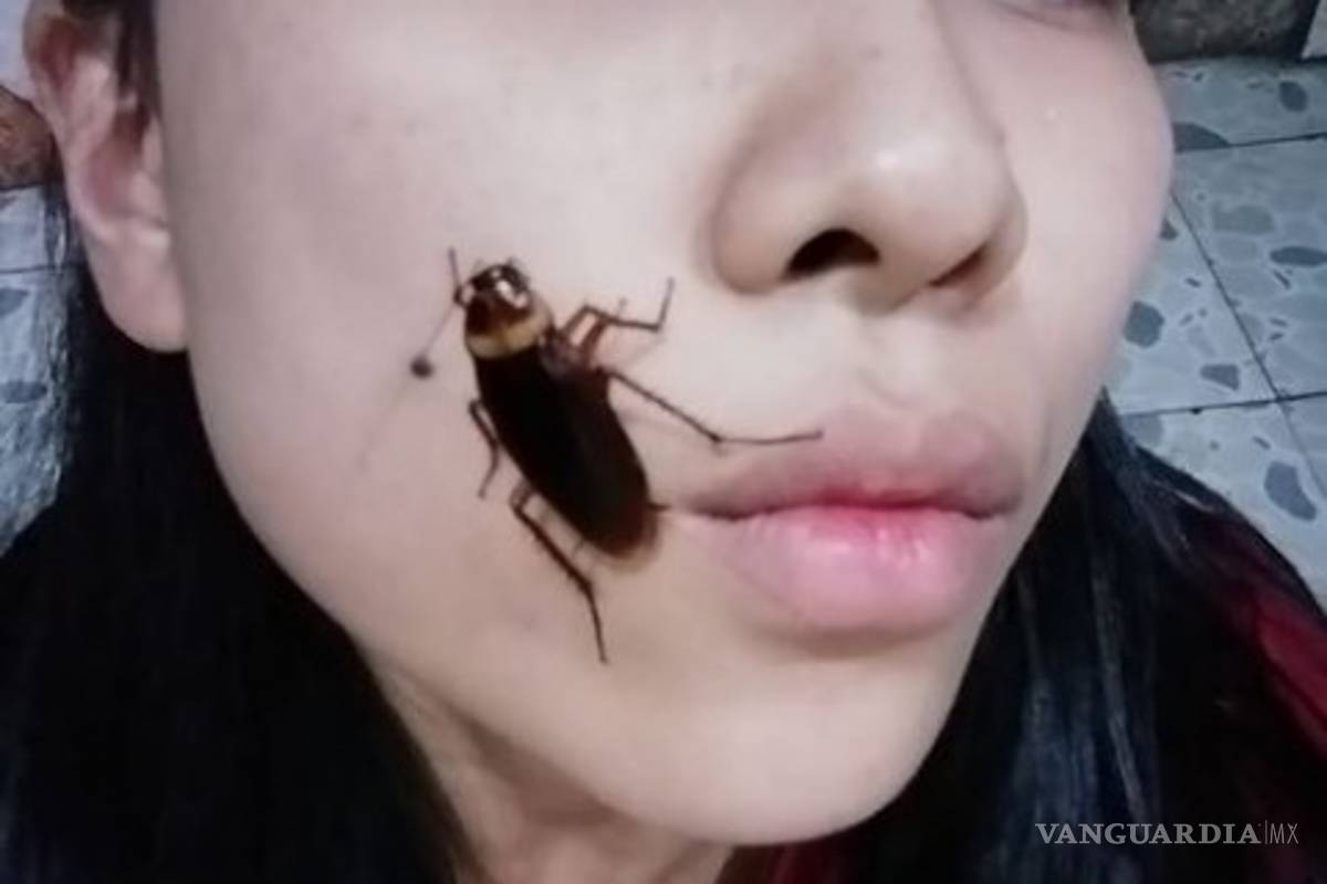 ¡No puede ser! Llega el reto #CockroachChallenge 'selfies con cucarachas'