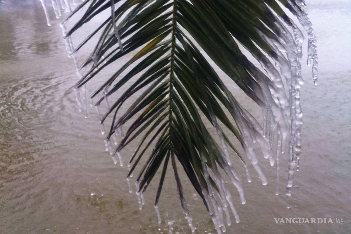 $!Reportan caída de aguanieve en Saltillo