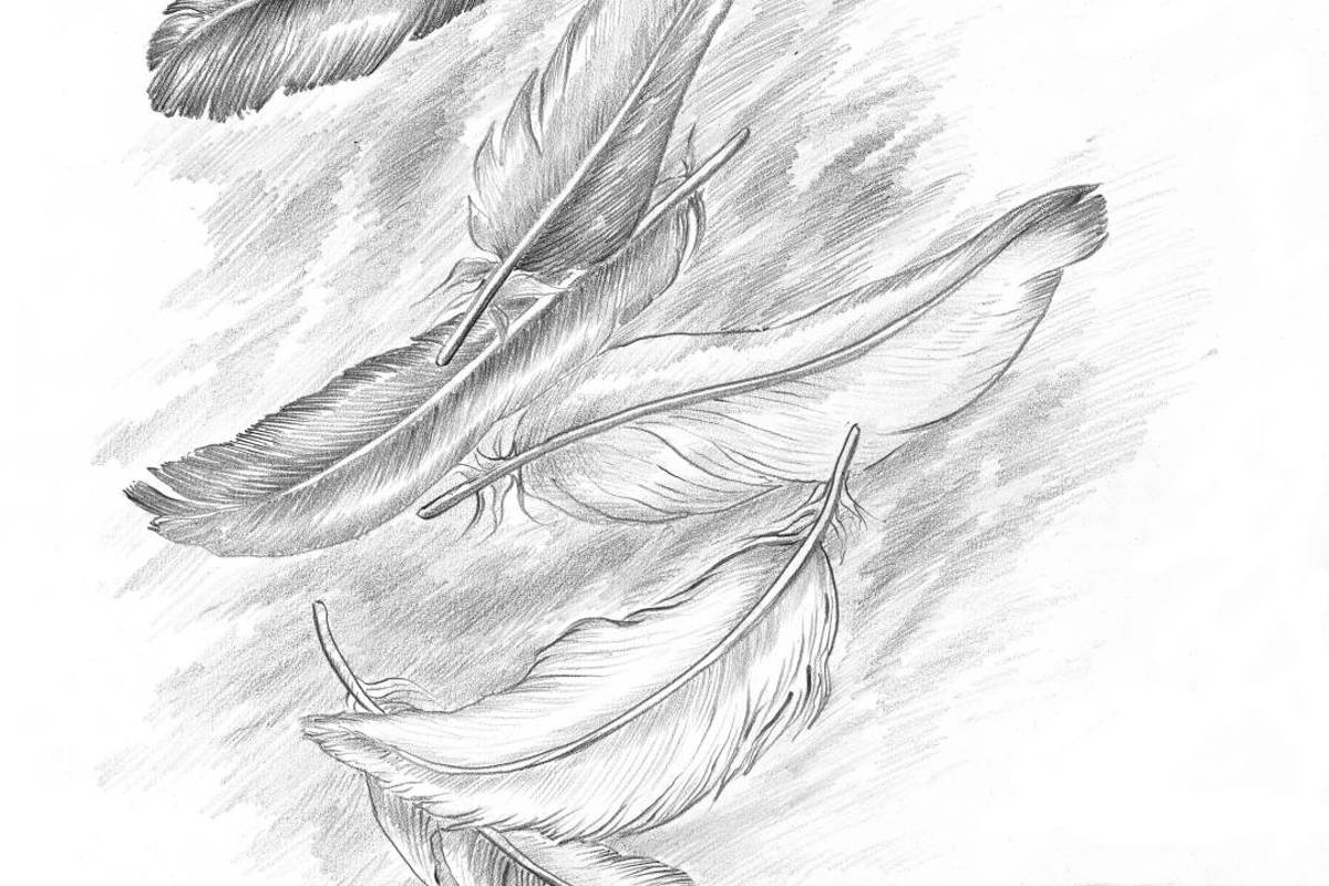 $!"De la finitud", el regalo literario de Grass, un año después de su muerte