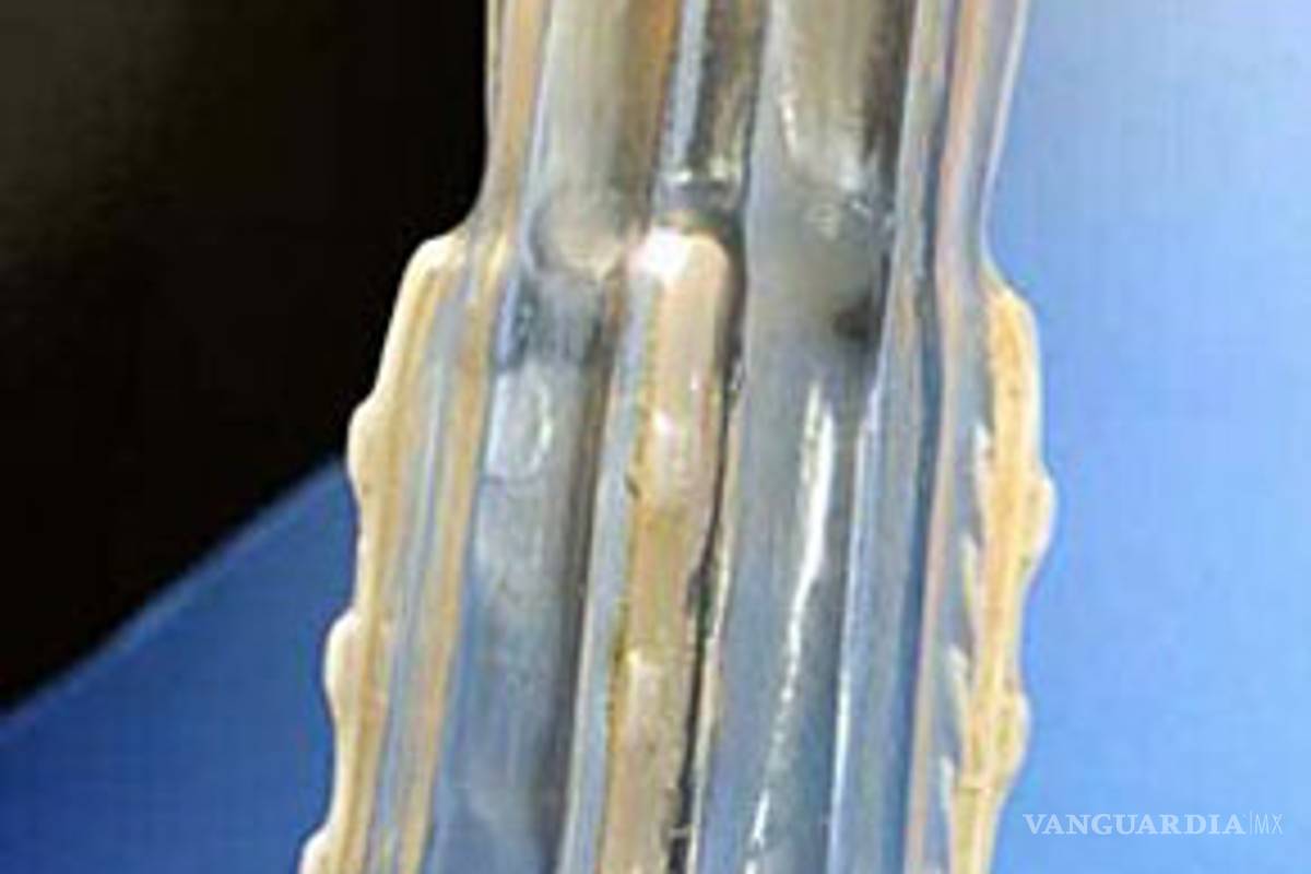 Crean condón antivioladores, para el Mundial