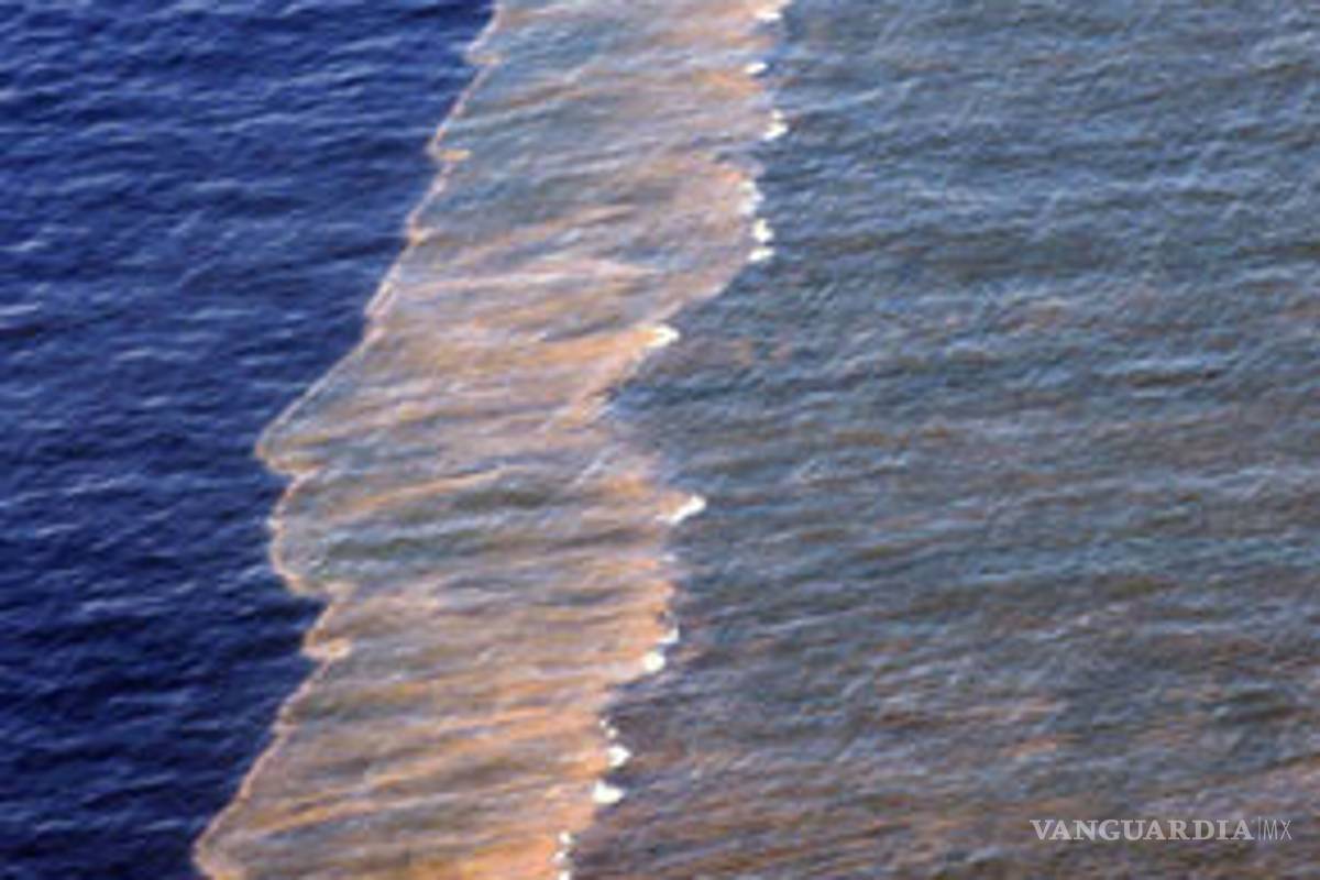 La marea negra llega a isla de Louisiana