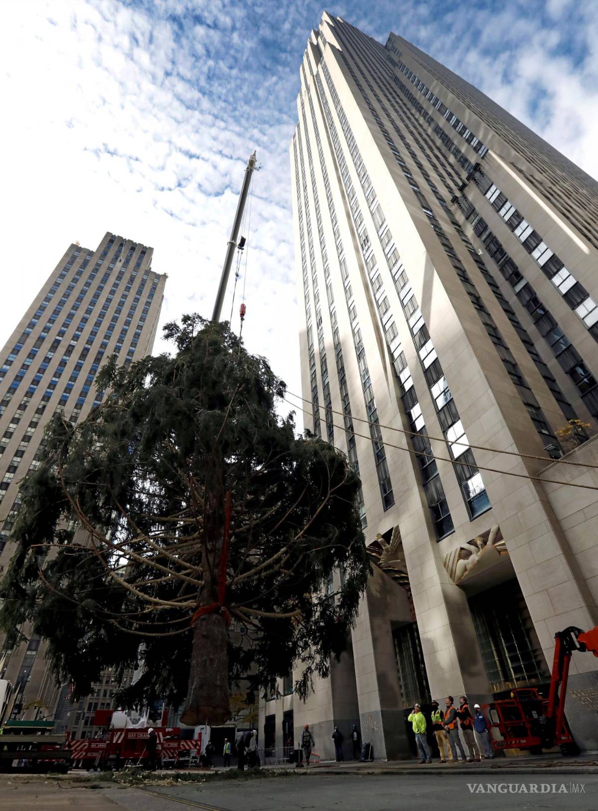 $!Será adornado con más de 50 mil luces y una estrella de cristal Swarovski, de 408.23 kilos