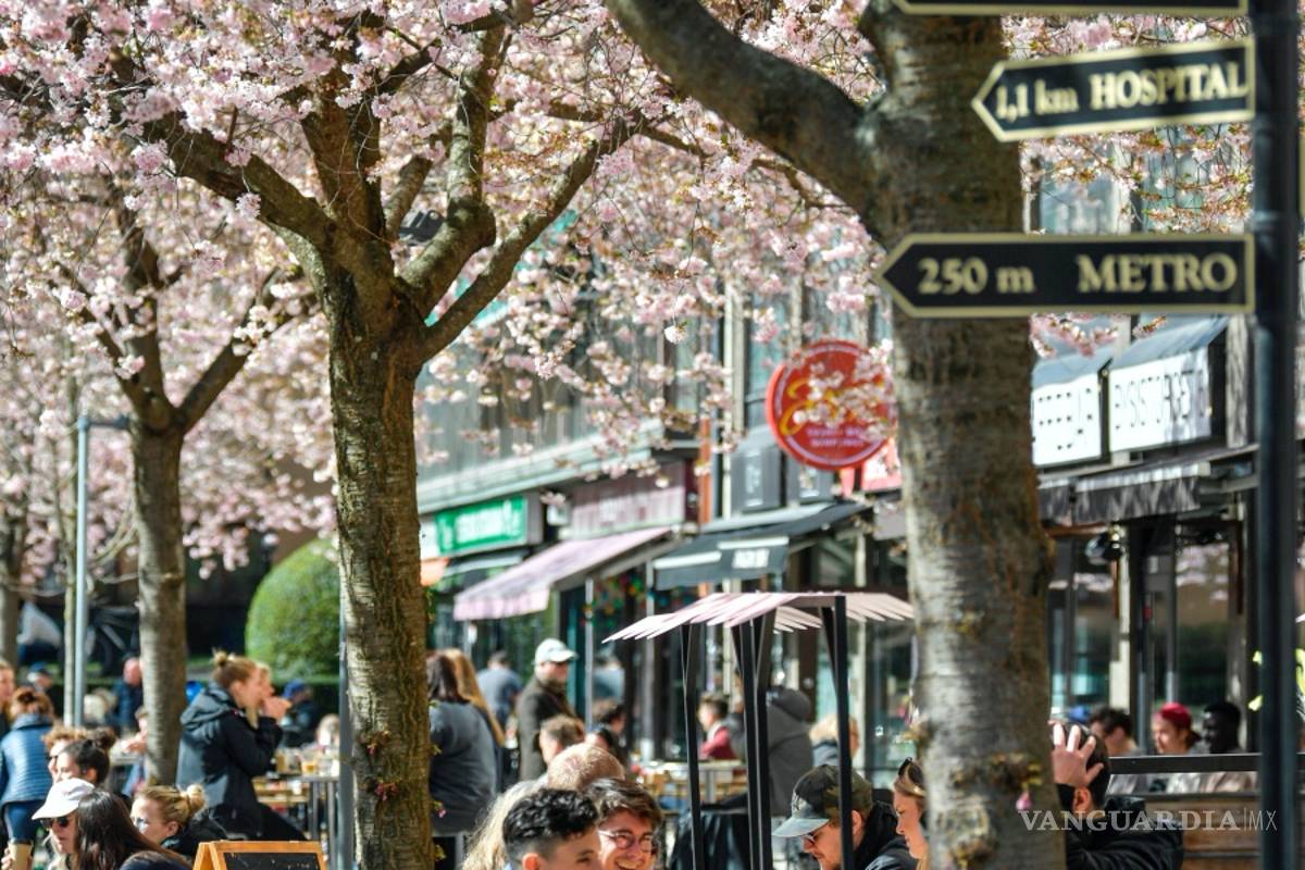 $!Coronavirus: Suecia y su liberal política de contención del COVID-19 supera el millar de muertos