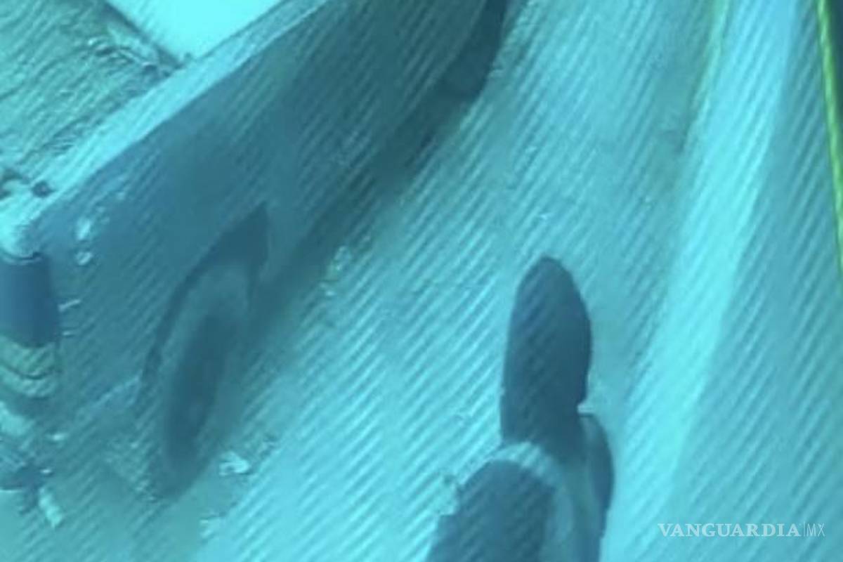 Ladrón se lleva camioneta estacionada en Saltillo, cámara de seguridad lo capta (video)