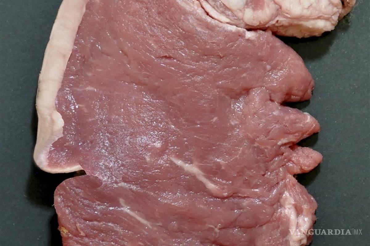 World Humor Awards premia a Asier Sanz por caricaturizar a Trump con una chuleta