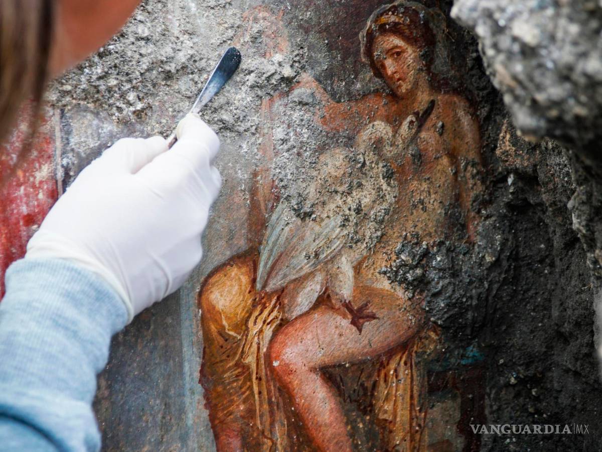 $!Descubren en Pompeya un fresco del mito griego de Leda y el cisne