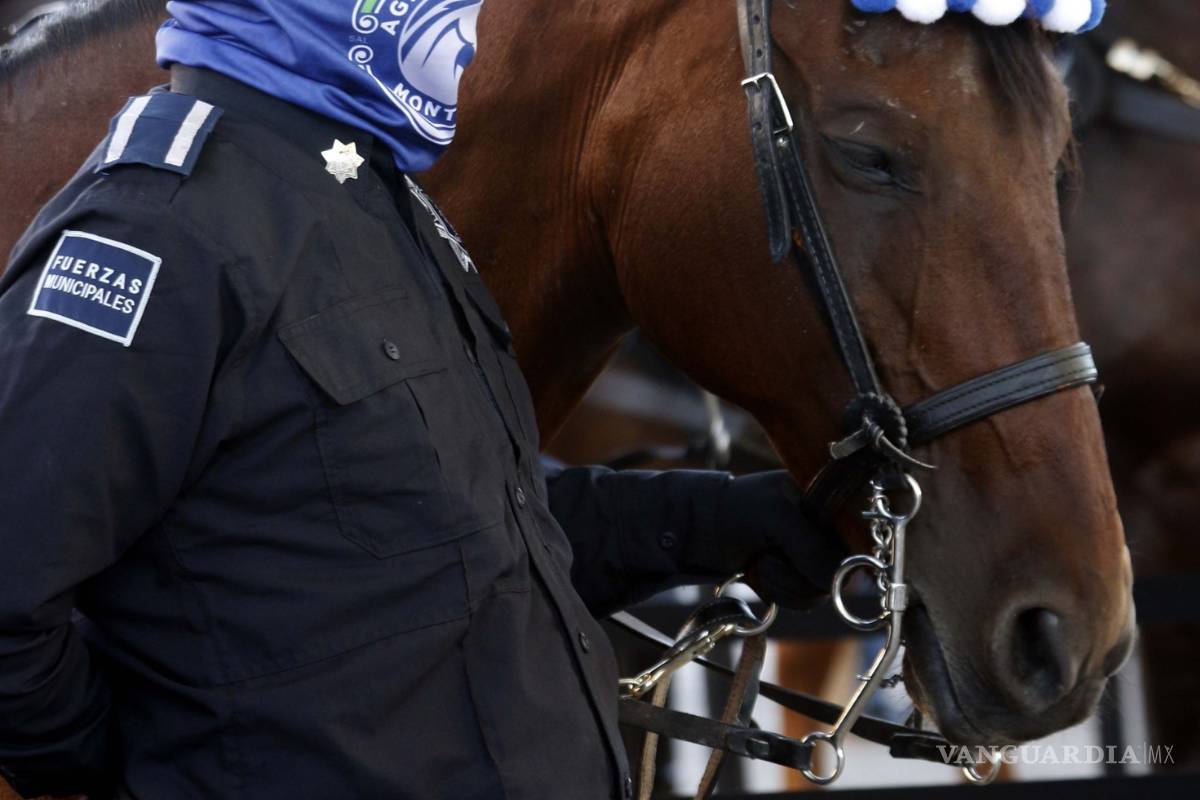 Entra en Saltillo en acción la Policía Montada