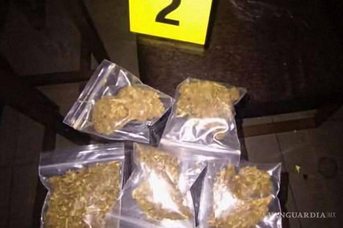 Fiscalía de Nuevo León catea dos viviendas en Monterrey por delitos contra la salud