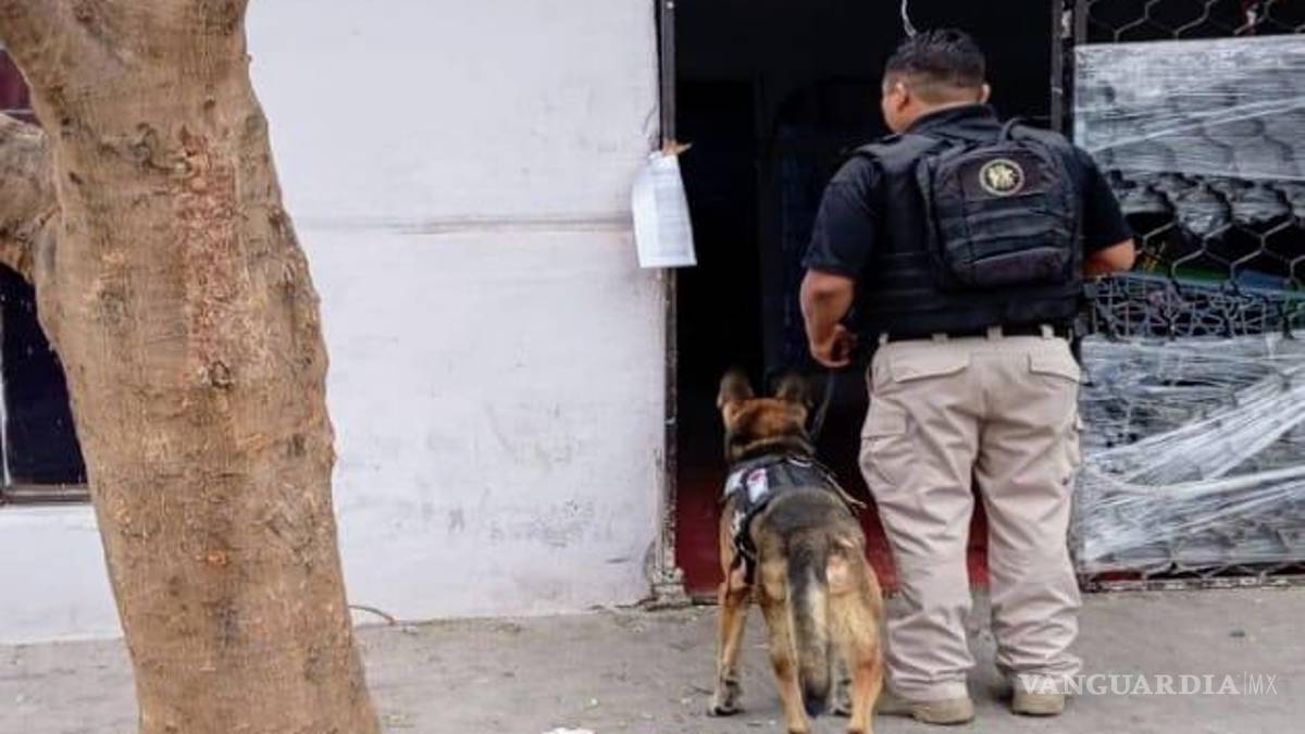 Cateos en Nuevo León por delitos contra la salud arrojan cuatro detenidos