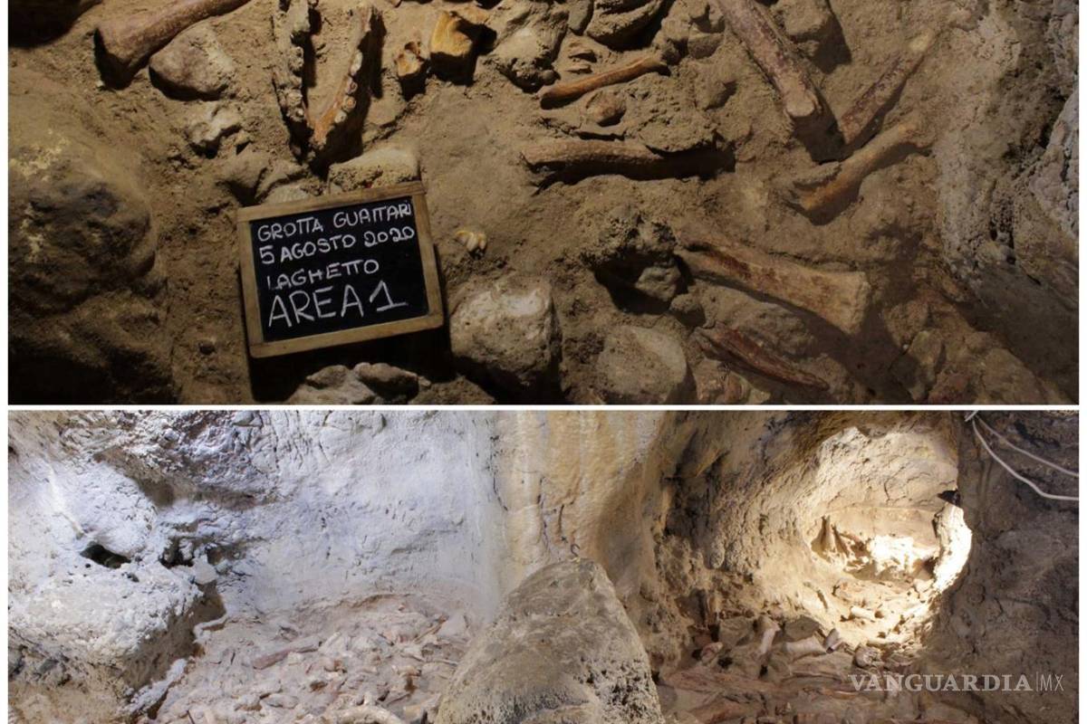 Excepcional descubrimiento de restos de homínidos y animales en Italia