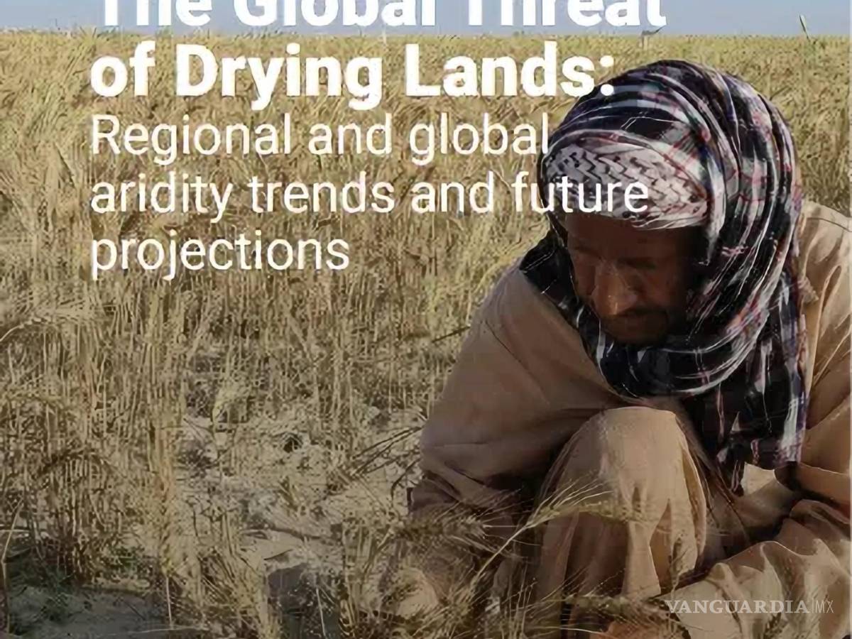 $!“A diferencia de las sequías (períodos temporales de escasas precipitaciones), la aridez representa una transformación permanente e implacable”, dice Thiaw.