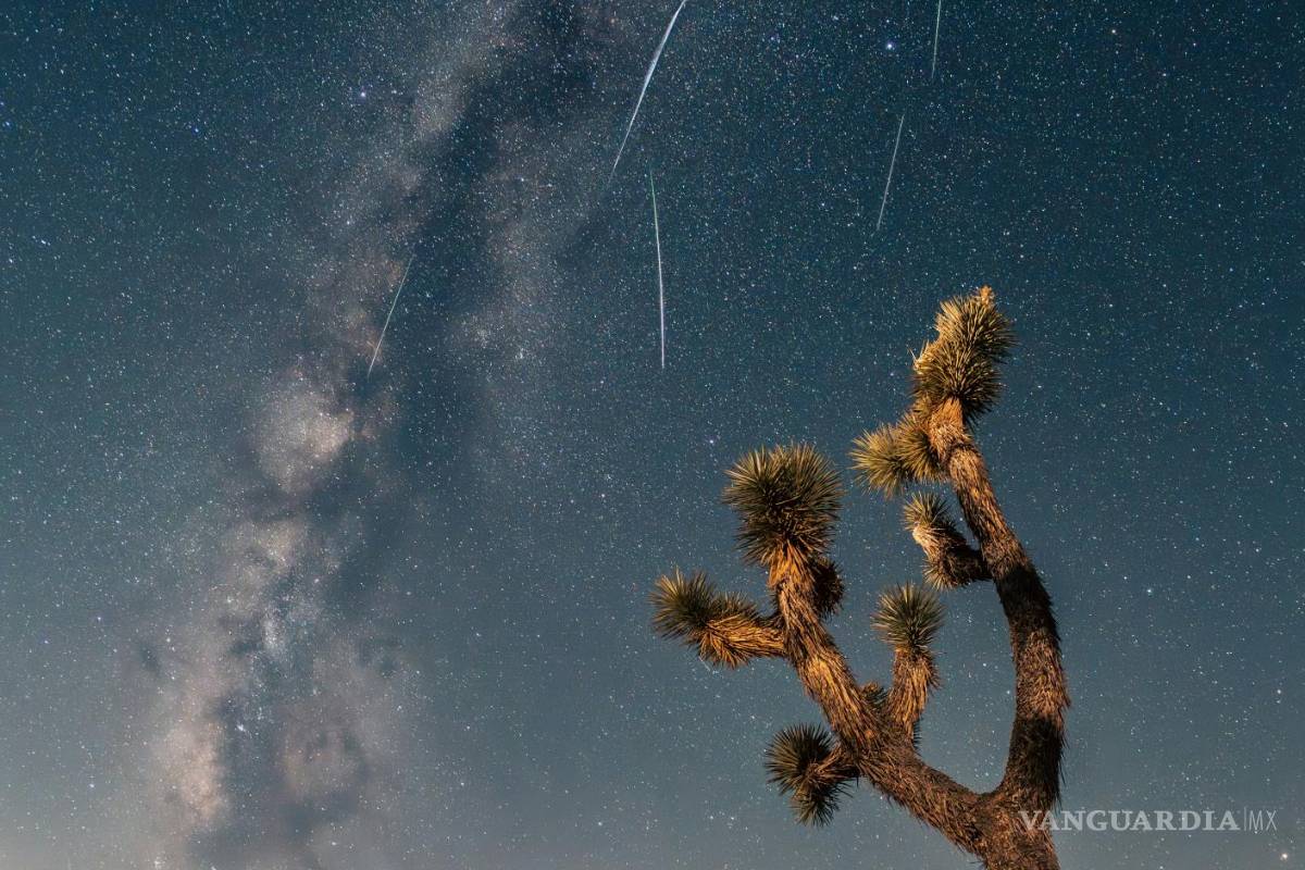 ¡Habrá lluvia de estrellas! Aquí tenemos todos los detalles para que la disfrutes