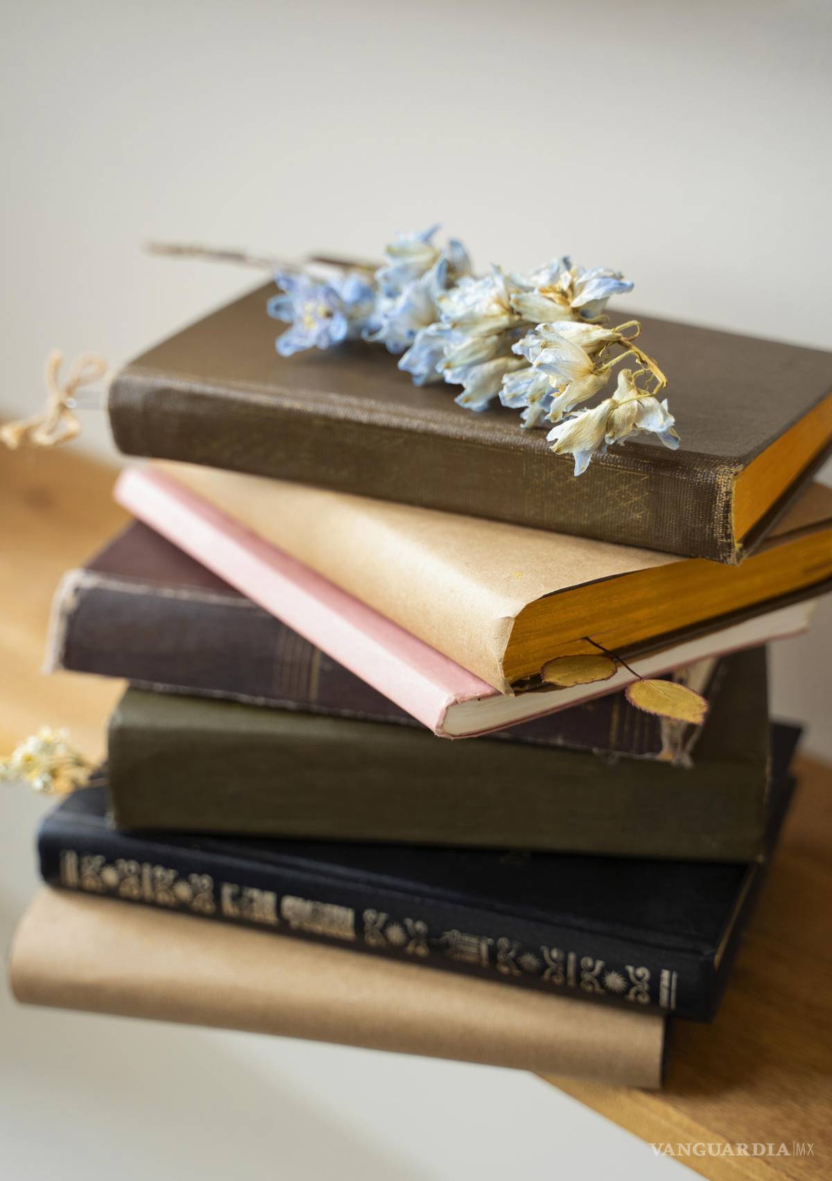 $!¿Clubes de lectura en Saltillo? Conoce las opciones y cómo sumarte