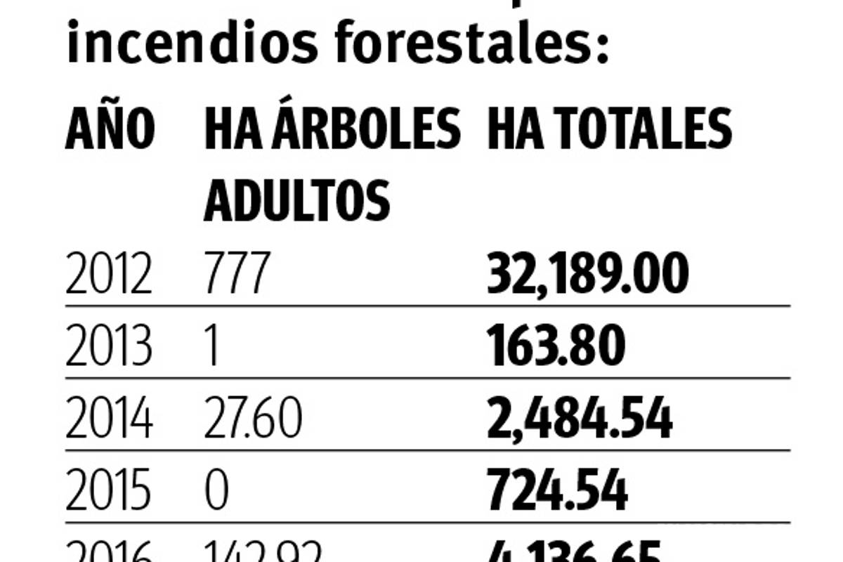 $!Arteaga, con el peor desastre en bosques en una década