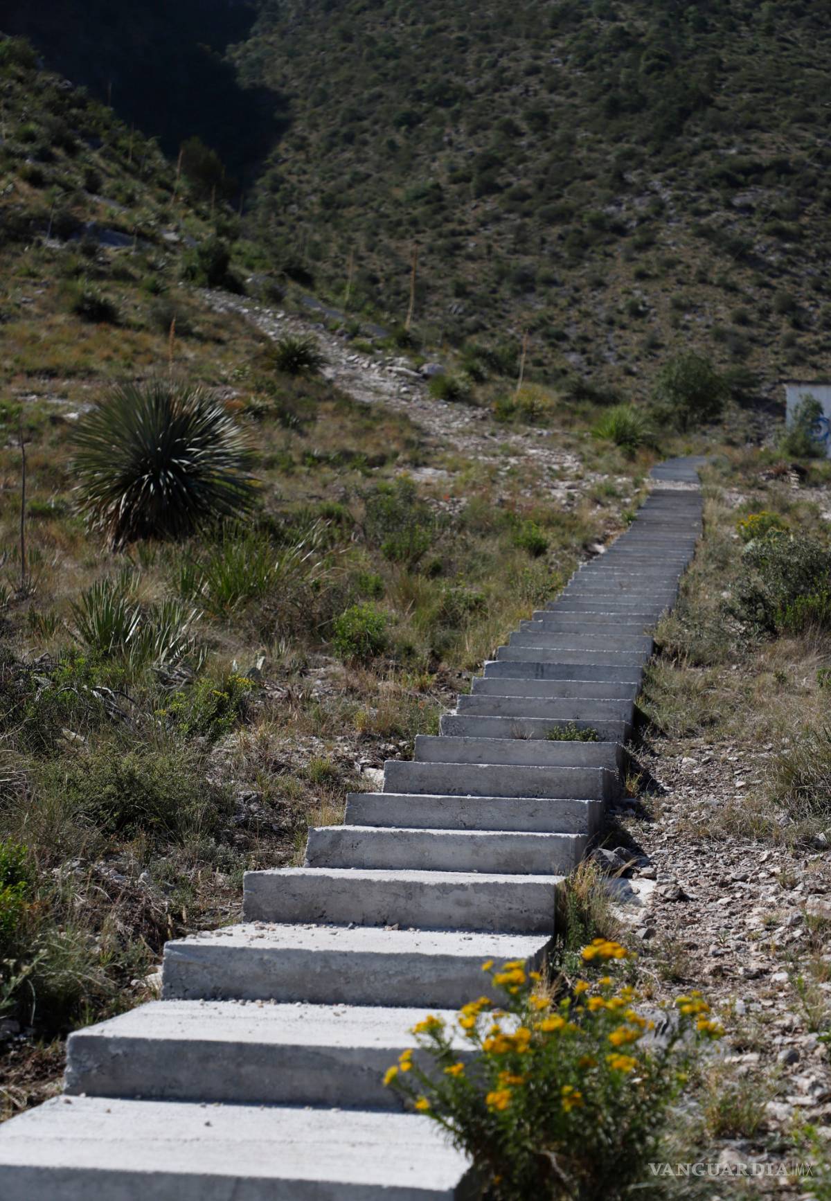 $!‘Escalera al Cielo’ en sierra de Zapalinamé viola Código Penal
