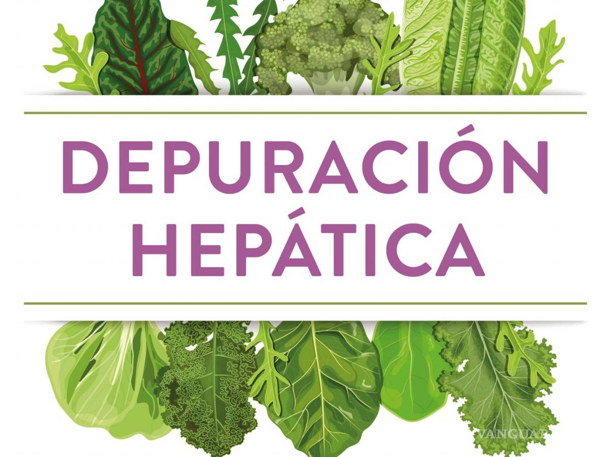 $!Portada del libro ‘Depuración hepática’.
