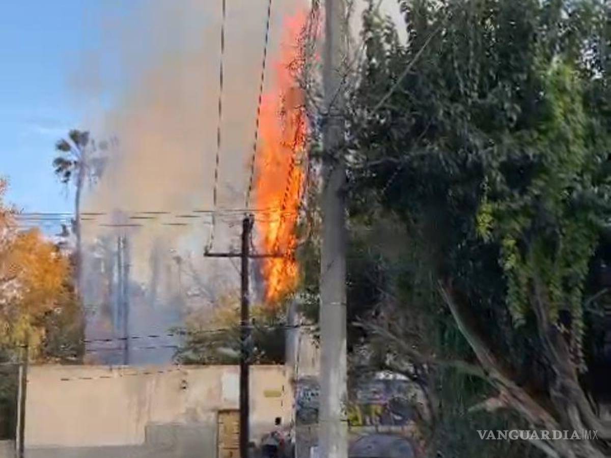 $!Las llamas consumieron varias palmas en Parras, mientras vecinos aseguraban ver la figura de San Judas Tadeo en el incendio.
