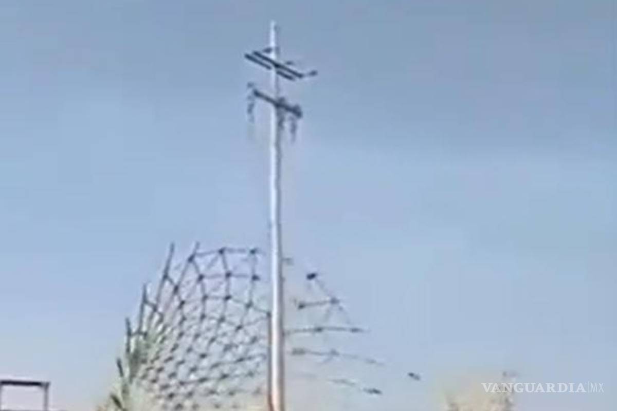 En NAIM, siguen desmantelando sus estructuras, revelan videos