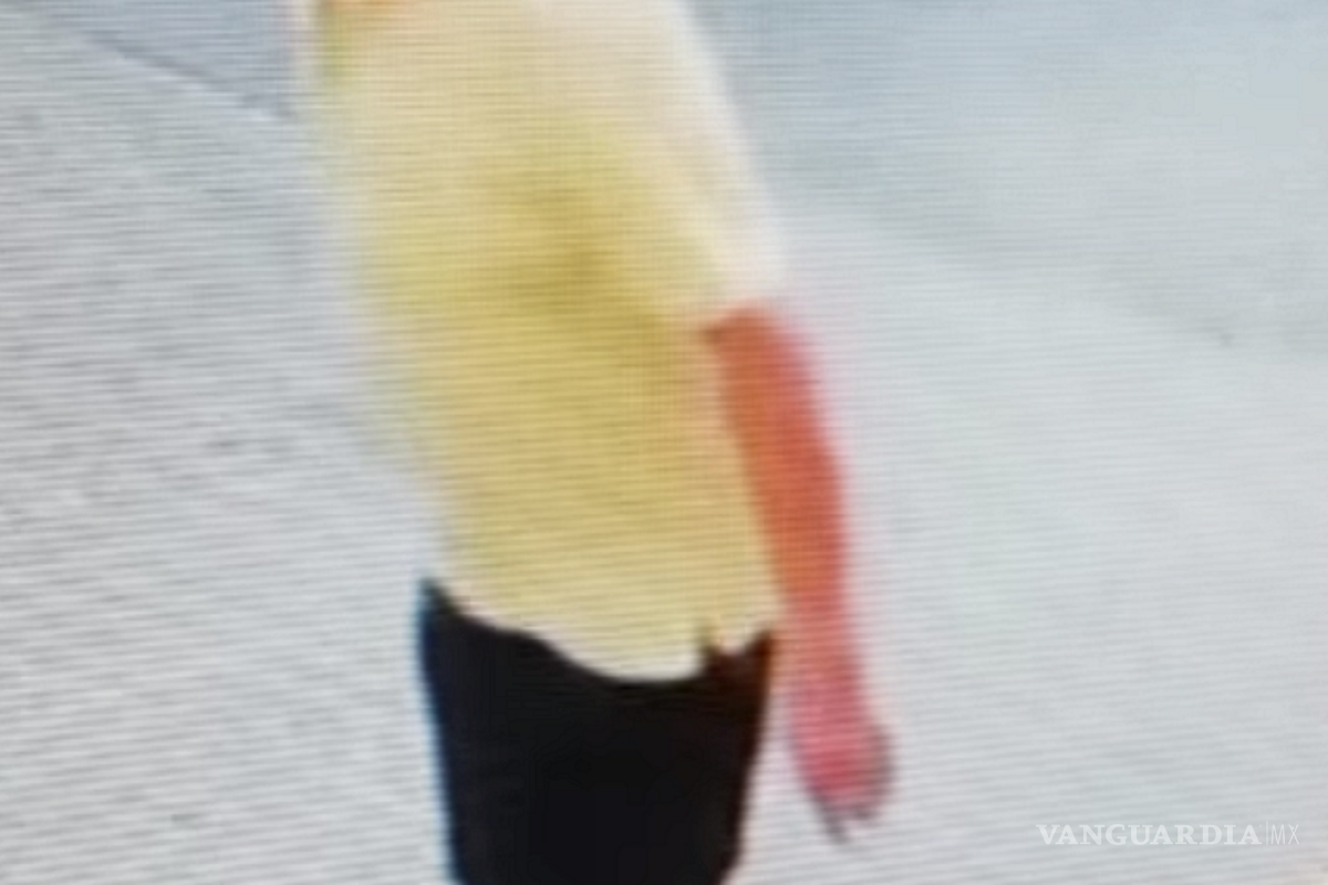 Difunden fotografías de supuesto ladrón de la colonia República en Saltillo