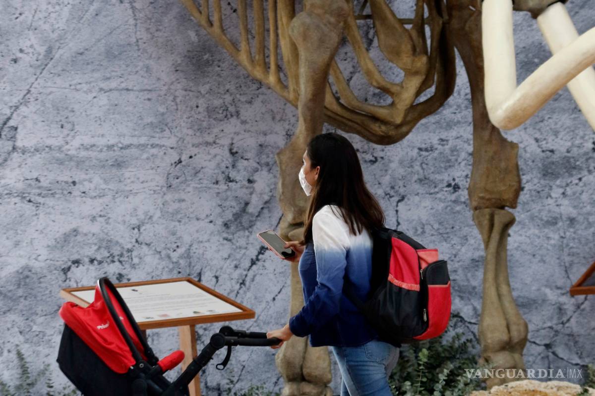 Pueden saltillenses realizar visitas virtuales a museos