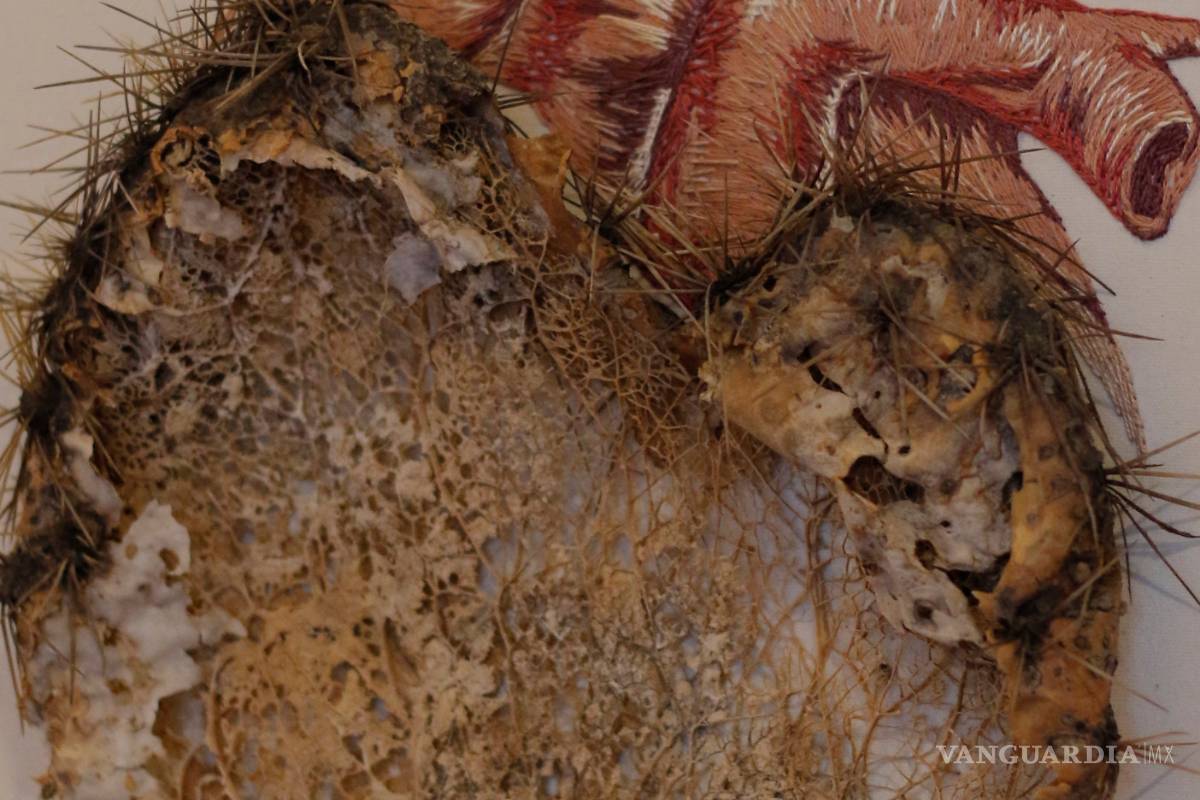 Agencia de arte Liquen: destierra el mito elitista de coleccionar arte