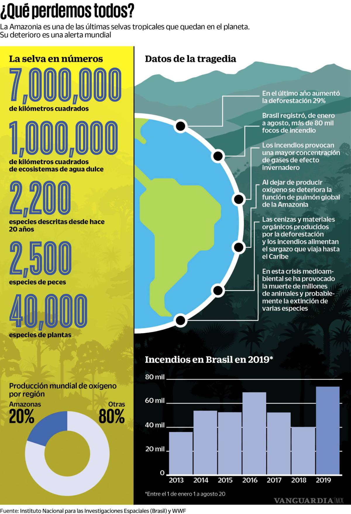 $!Amazonia: radiografía de un pulmón enfermo; daño ecológico aun incalculable
