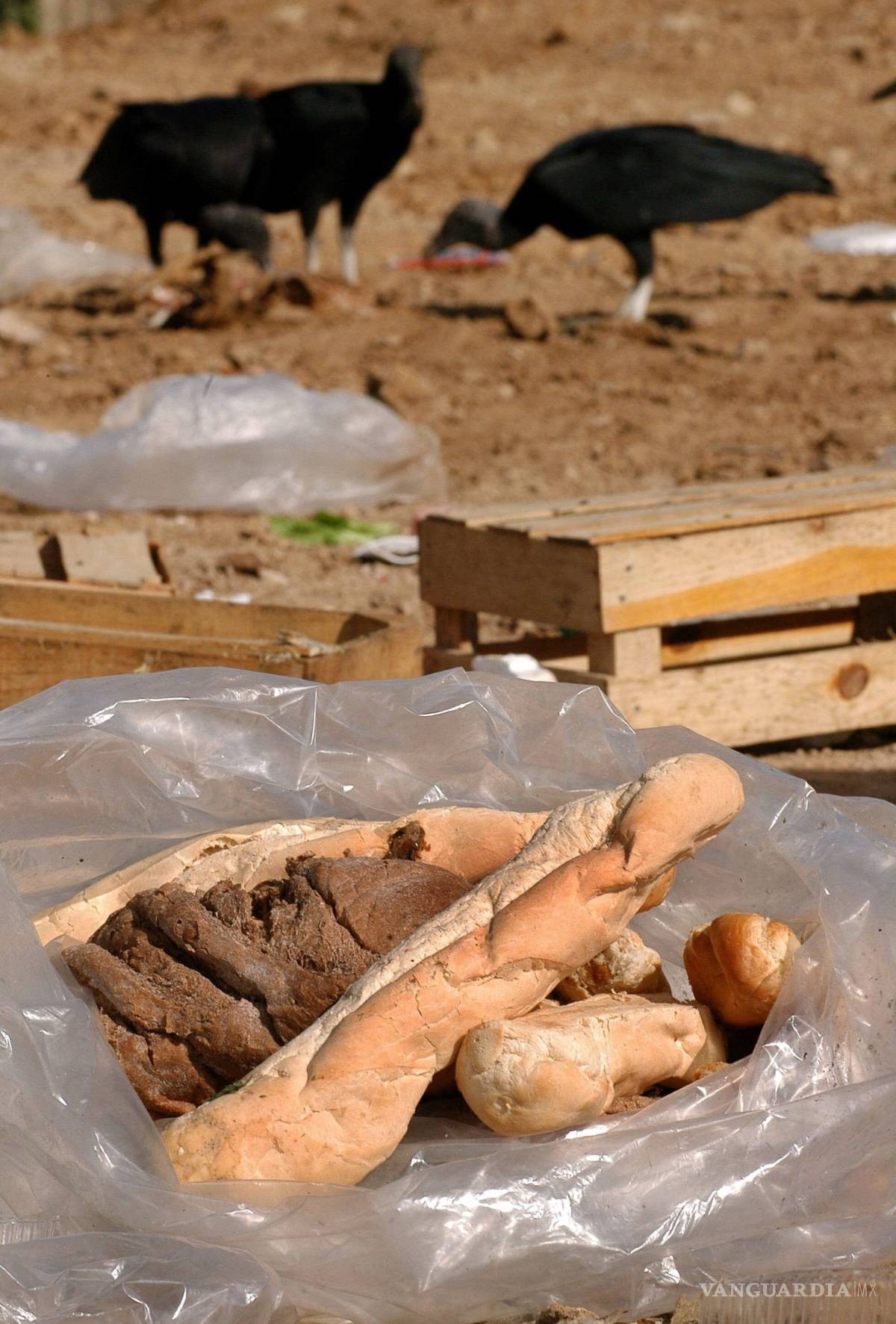 $!En América se desperdician 127 millones de toneladas de alimentos mientras crece el hambre