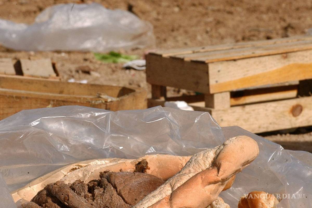 $!En América se desperdician 127 millones de toneladas de alimentos mientras crece el hambre