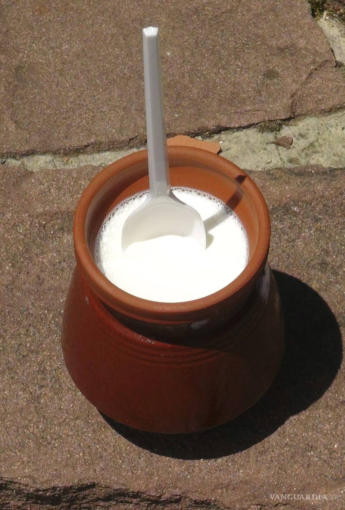 $!Prebióticos y probióticos, ambos desempeñan una función importante en la salud digestiva