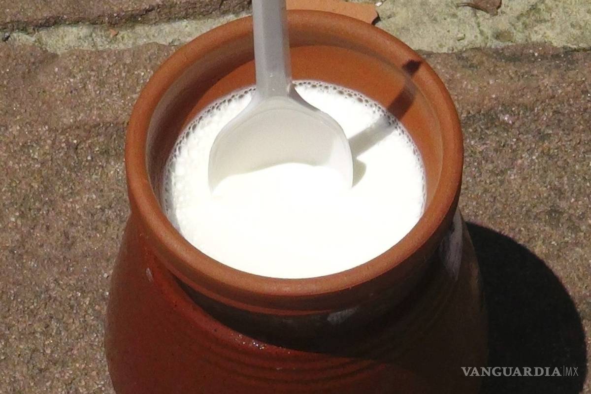 $!Prebióticos y probióticos, ambos desempeñan una función importante en la salud digestiva