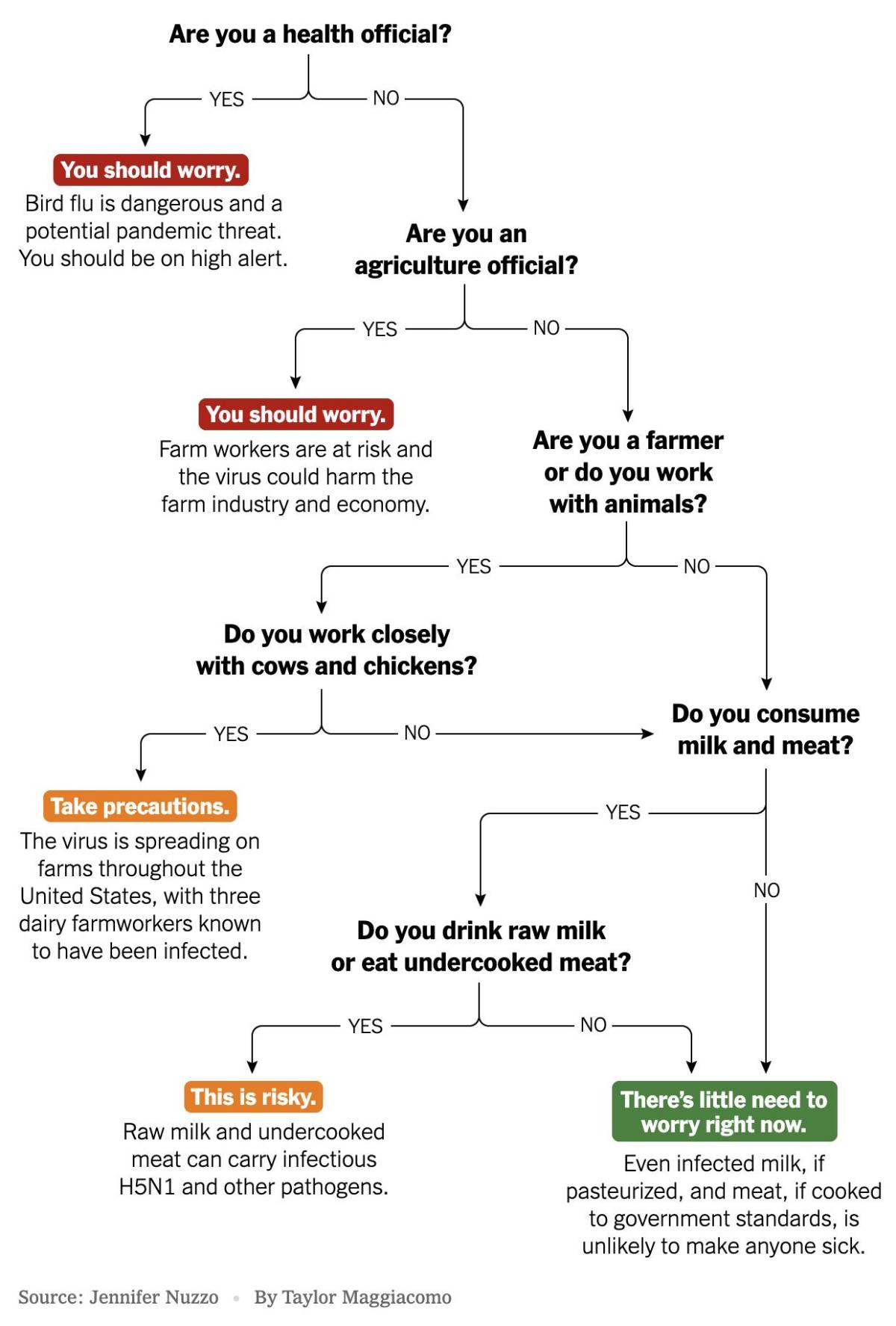 $!¿Qué tanto debe asustarnos la gripe aviar?