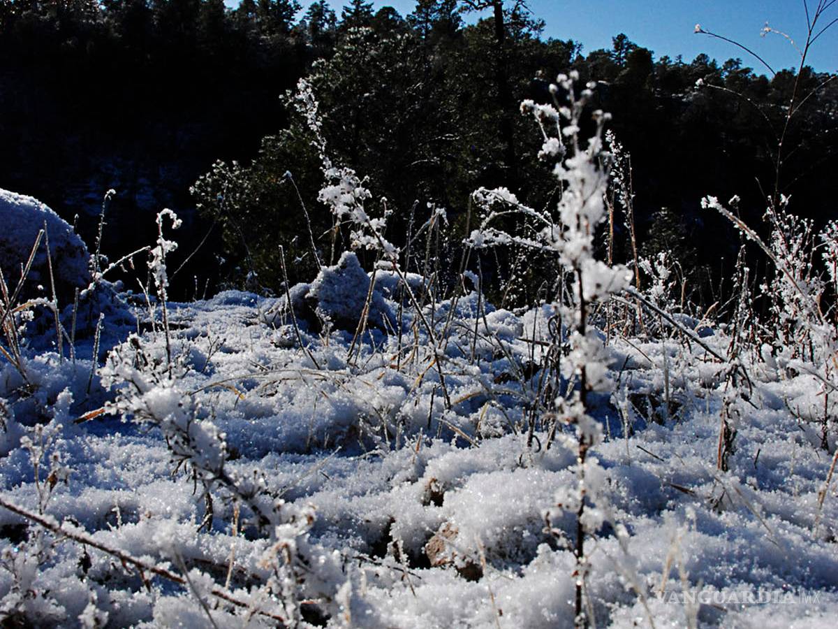 $!El punto más frío de México, hasta 17 grados bajo cero en La Rosilla