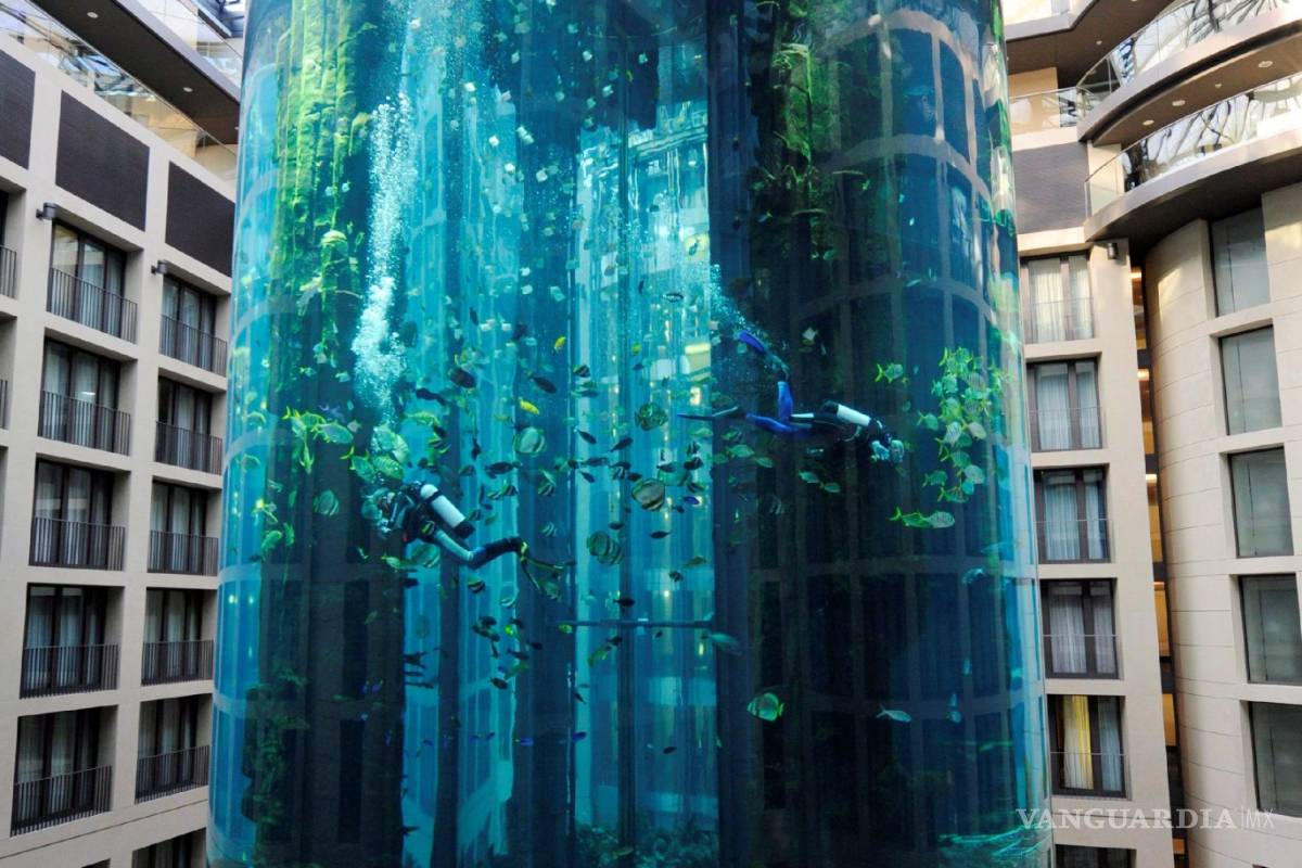 $!AquaDom, el acuario cilíndrico más grande del mundo
