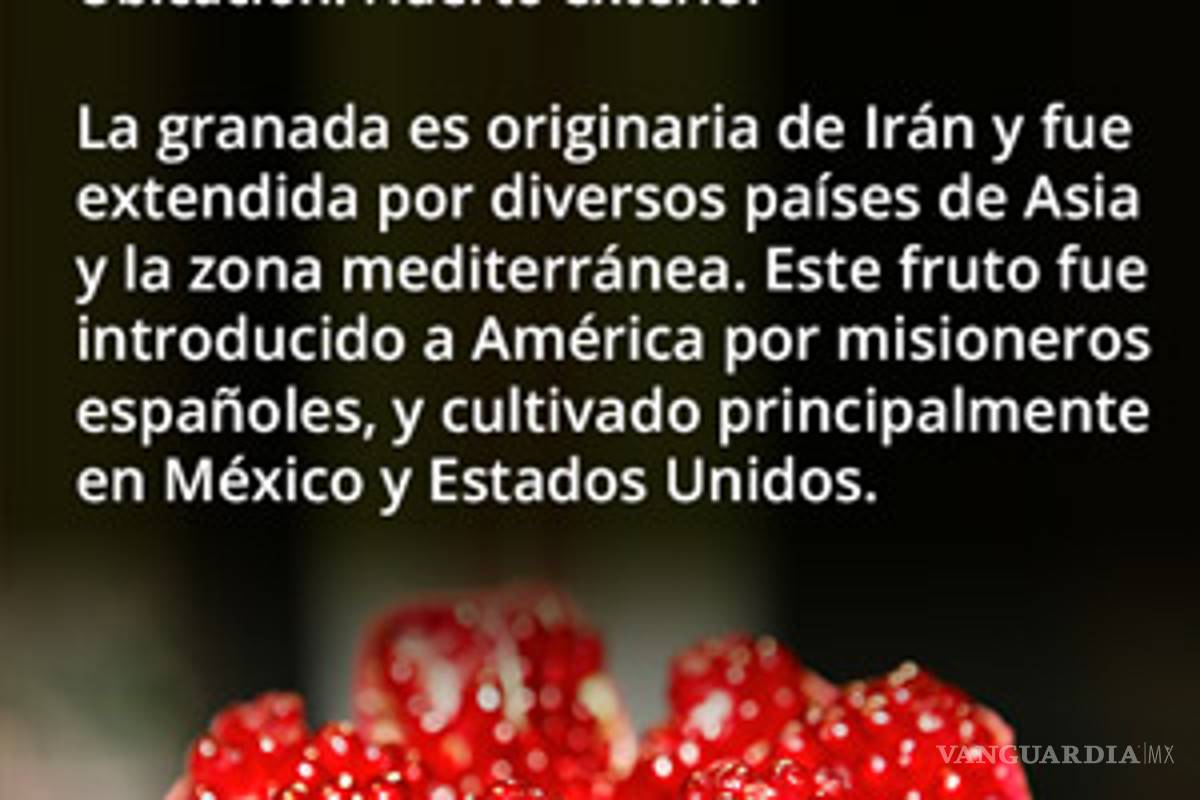 $!Científicos en Saltillo creen que cáscara de granada podría prevenir el cáncer