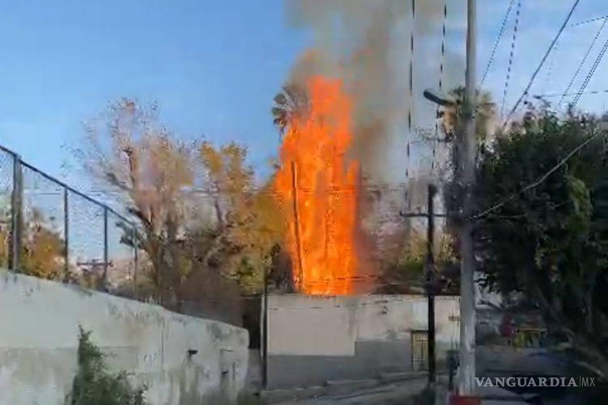 Vecinos aseguran ver imagen de San Judas en incendio de una palma en Parras de la Fuente