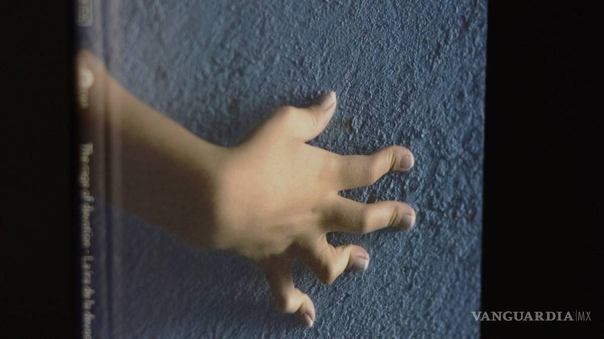 Libro impreso en Medio Pliego, entre los mejores del 2018