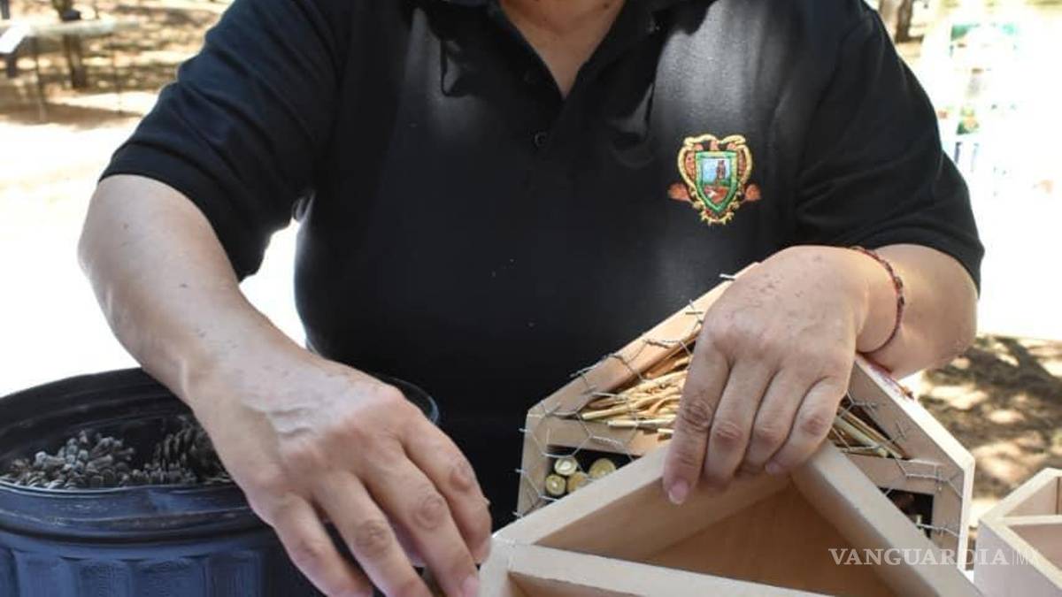 Saltillo: Promueve la UAAAN implementar “Hoteles Polinizadores”