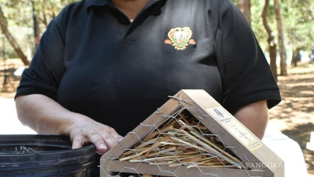 Saltillo: Promueve la UAAAN implementar “Hoteles Polinizadores”