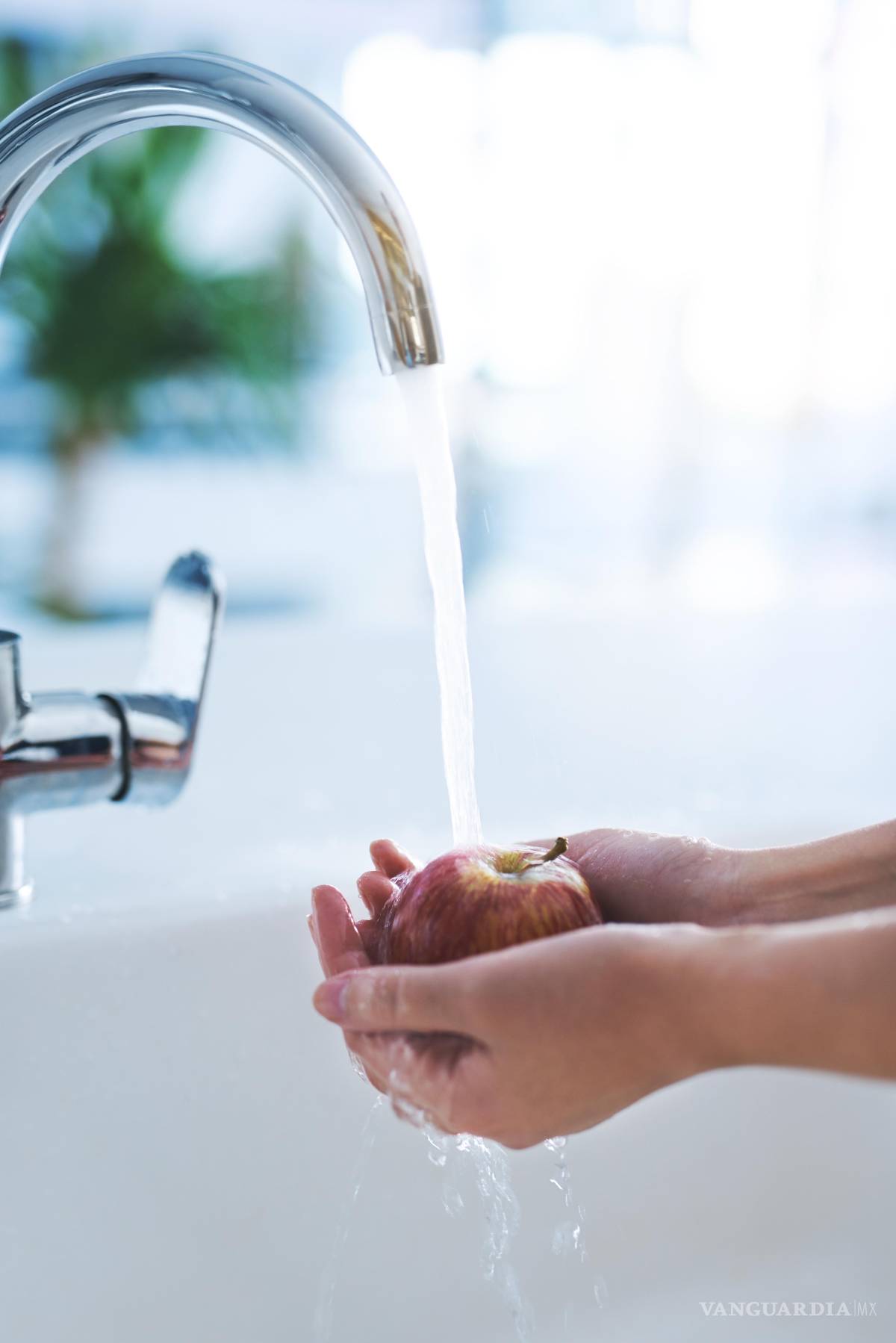 $!Desde desconectar aparatos hasta aprovechar la luz natural: cada hábito cuenta para construir un hogar más ecológico y responsable.