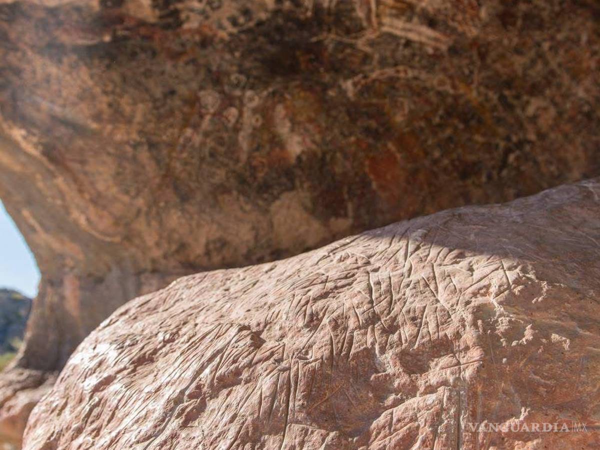 $!La denuncia ya se encuentra bajo investigación, luego de los reportes de los lugareños.