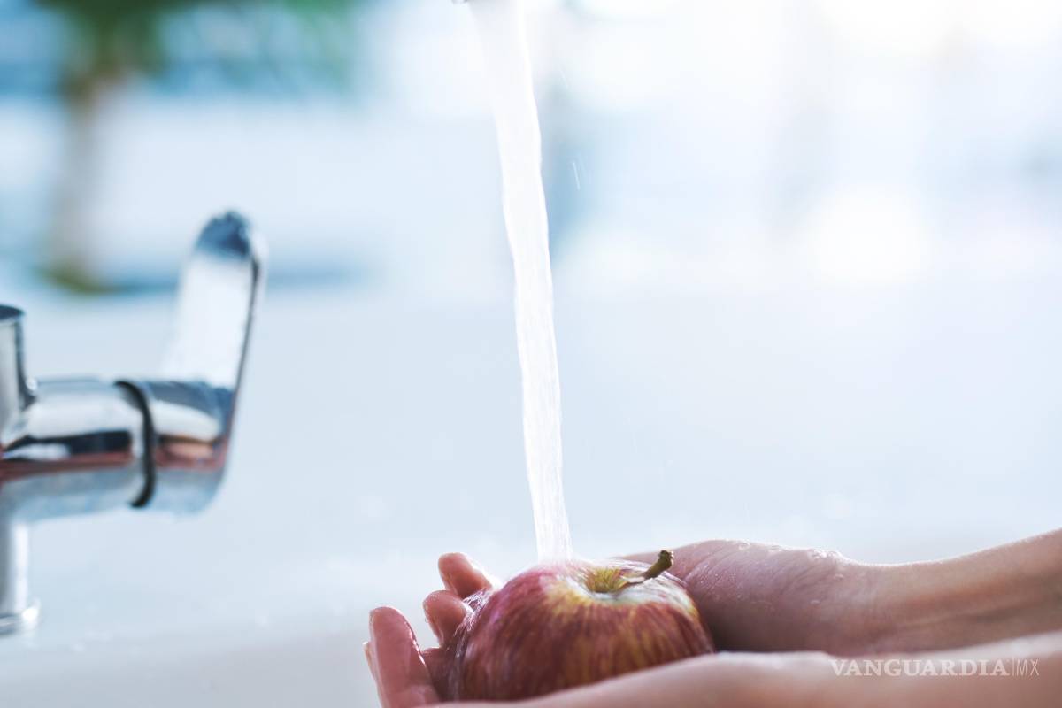 $!Desde desconectar aparatos hasta aprovechar la luz natural: cada hábito cuenta para construir un hogar más ecológico y responsable.