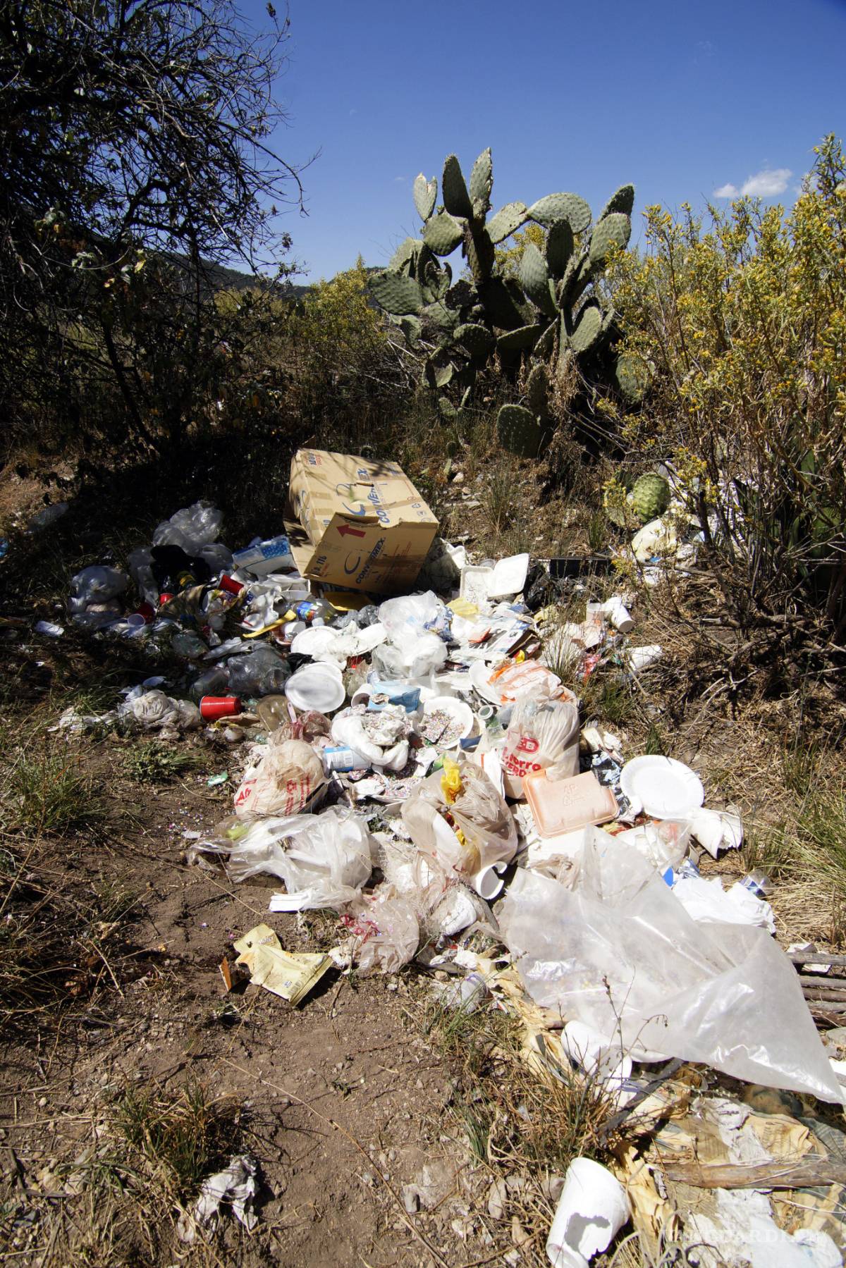 $!Convierten paseantes en basurero a la sierra de Arteaga; dejan más de 20 toneladas de desechos
