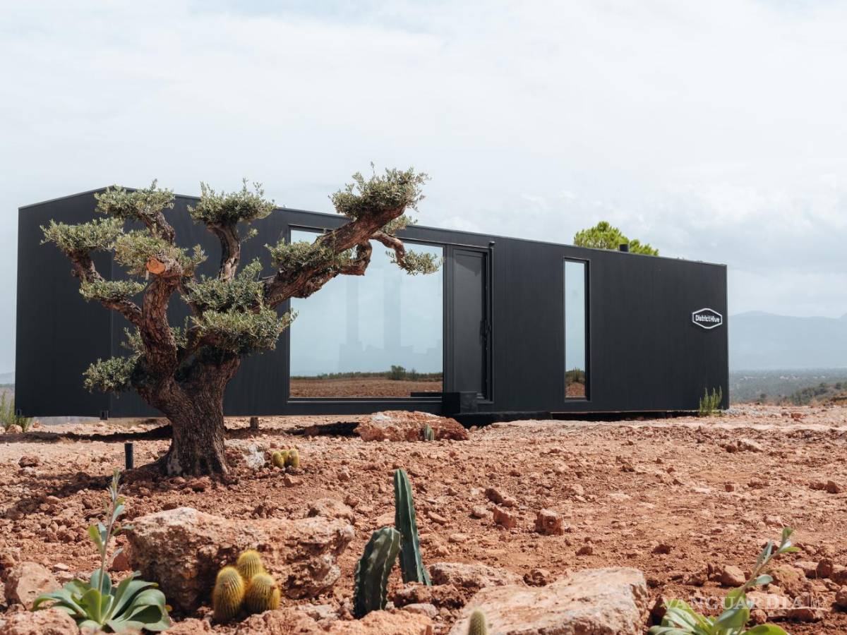 $!El District Hive en el desierto de Gorafe (Granada, España), vegetación del entorno.