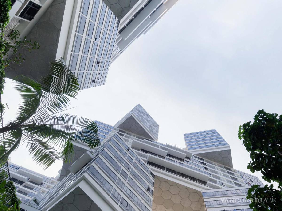 $!Algunos bloques de apartamentos de 'The Interlace', de OMA/Ole Scheeren, vistos desde el nivel del suelo.