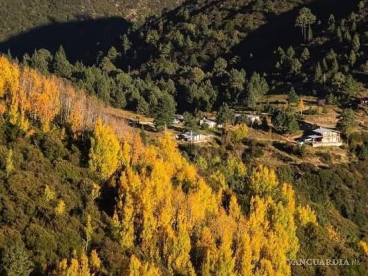 $!Excursionistas que transiten por zonas como Oyameles deben seguir nuevas recomendaciones y respetar los accesos permitidos para evitar sanciones.