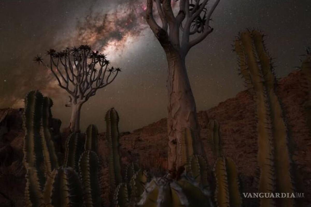 Mira las asombrosas imágenes de la octava edición las mejores imágenes de la Vía Láctea