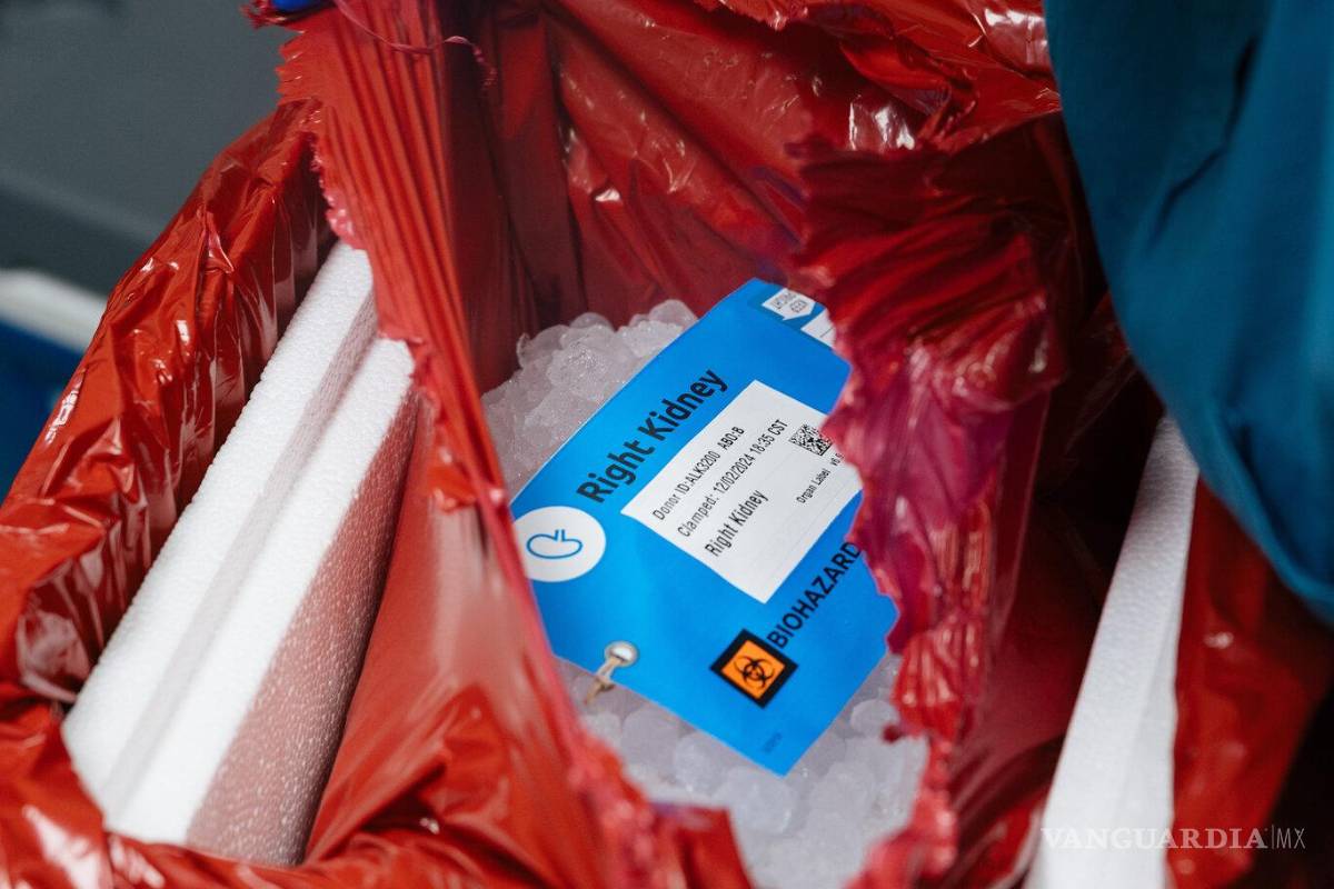 ¿Qué implica exactamente ser donante de órganos en EE.UU.?