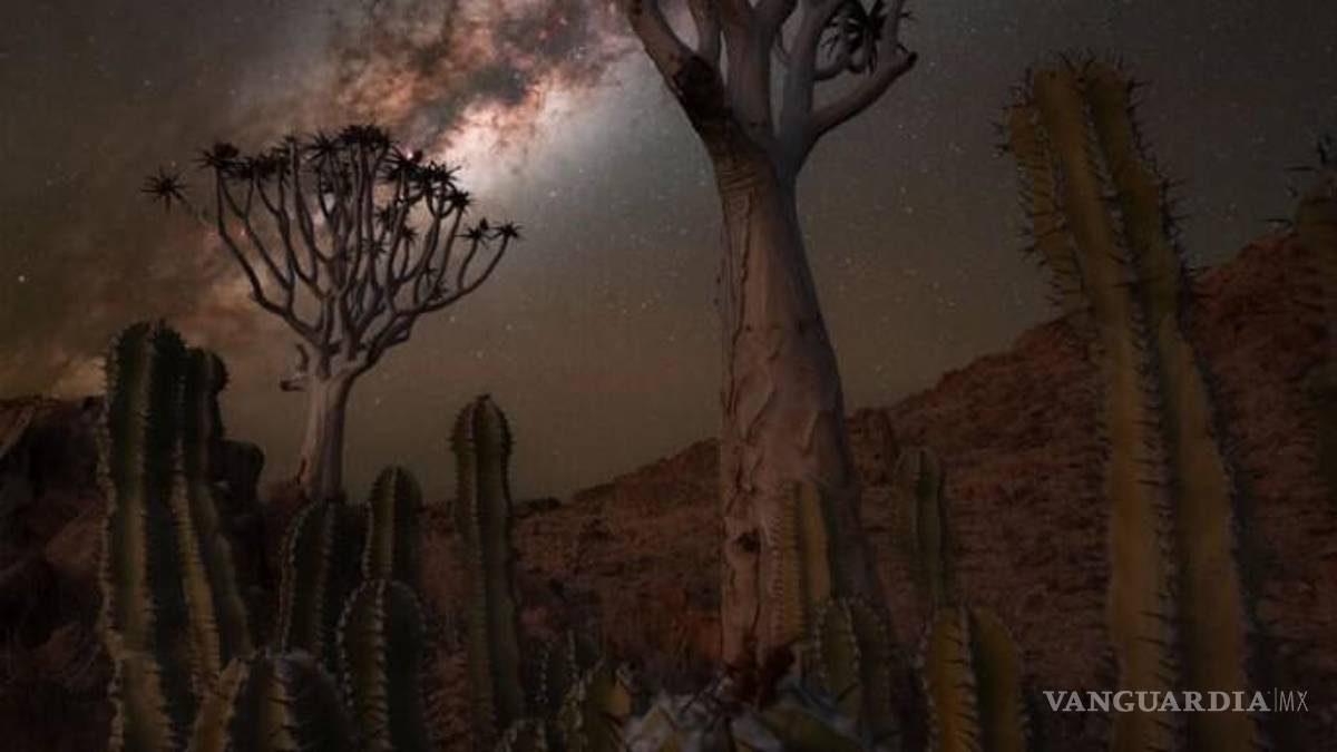 Mira las asombrosas imágenes de la octava edición las mejores imágenes de la Vía Láctea