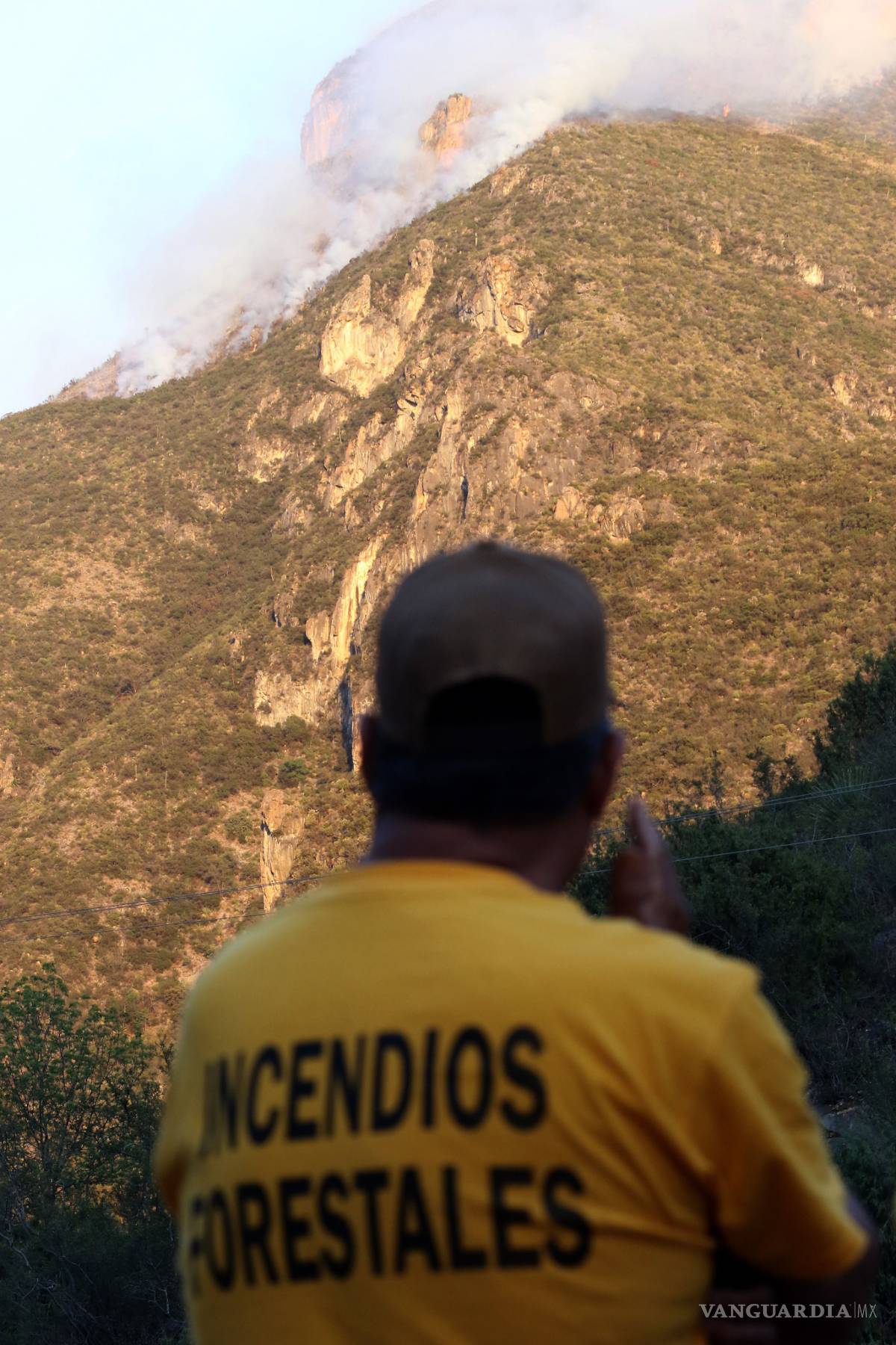 $!Irrecuperable lo siniestrado en el cañón de San Lorenzo: afirma biólogo