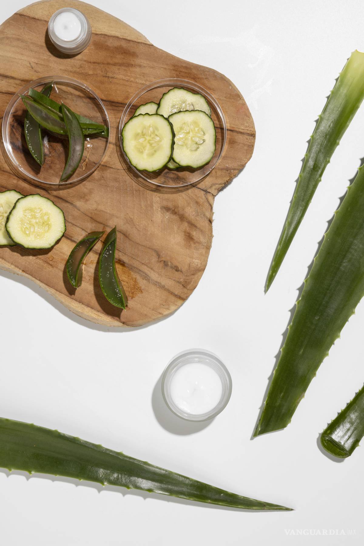 $!Es una planta conocida por sus propiedades regeneradoras, calmantes y antiinflamatorias.